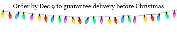 Christmas Delivery Banner